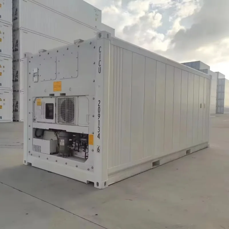 Solar Powered Mobile Cold Room 20ft Container Freezer Off Grid Walk in Storage for Meat Vegetable Fruit Customized Cold Storage